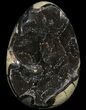 Septarian Dragon Egg Geode - Black Crystals #89568-1